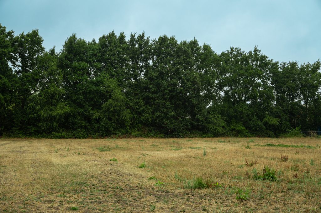 Daja Trading Nieuwe Locatie
